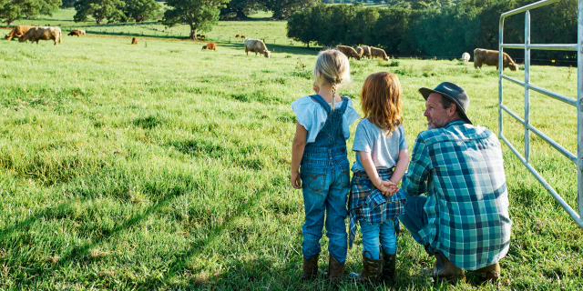 Farmer with two children in a paddock with cows