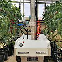 harvesting machine in greenhouse